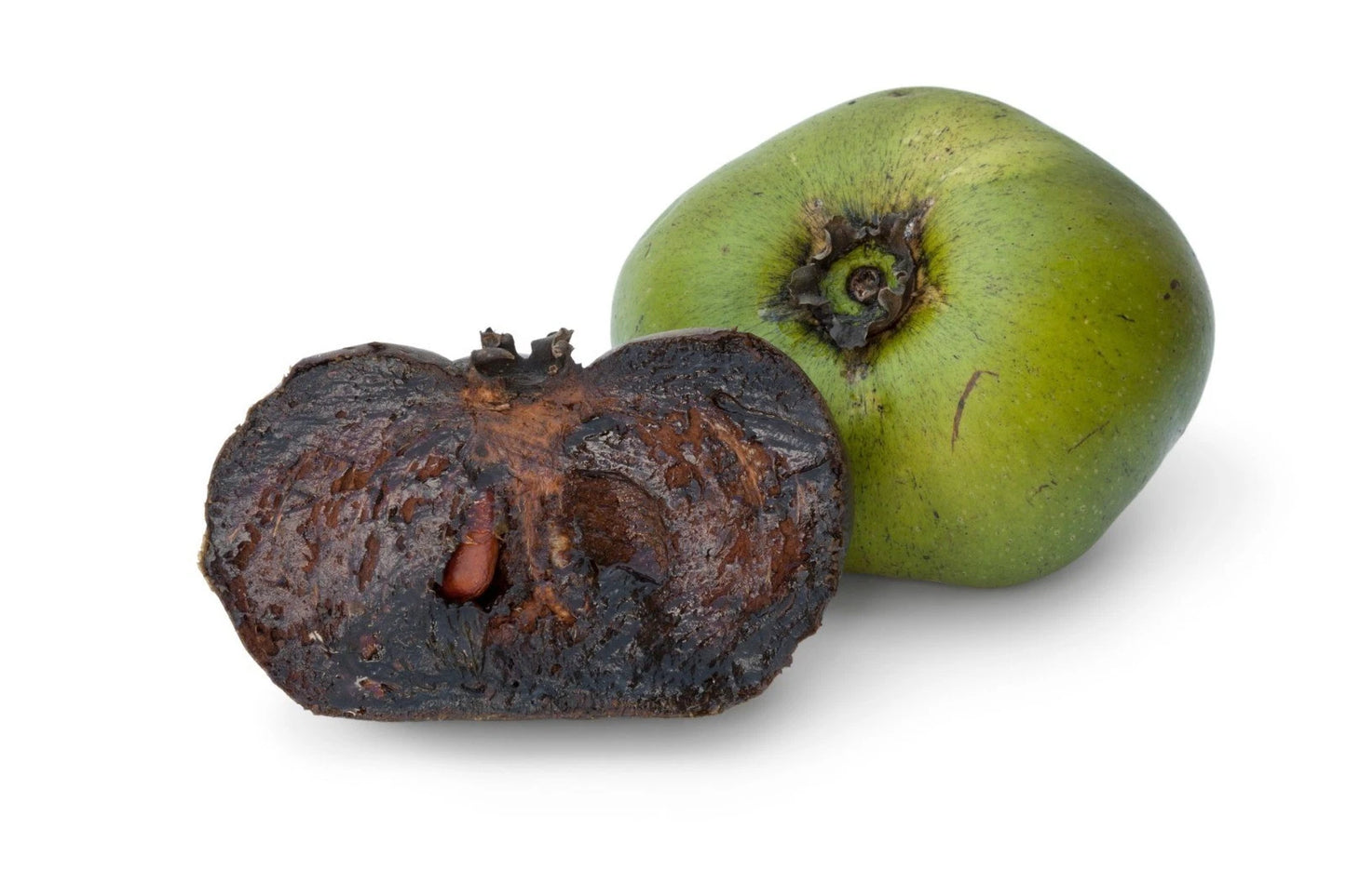 Matt's Giant Black Sapote Seeds 20 pcs (Diospyros nigra) - Premium Chocolate Pudding Fruit Seeds