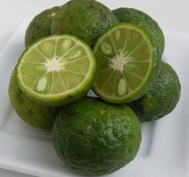 Java Lime Seeds (100+ Bulk Seeds, Citrus amblycarpa) – Limau Sambal & Exotic Citrus Fruit Tree Seeds for Planting