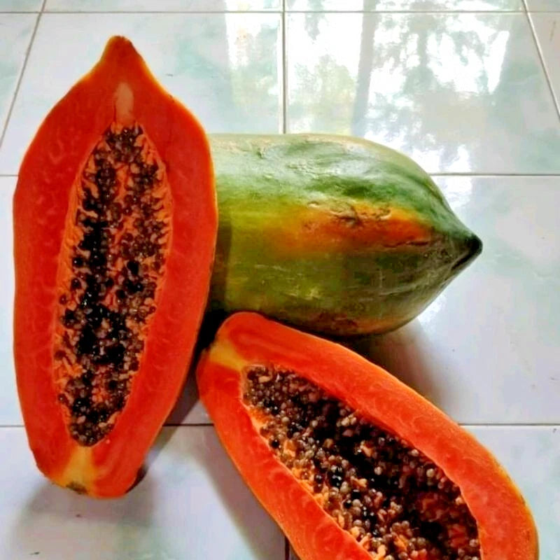 150+ Big Bangkok Papaya Seeds (Carica papaya / Giant Commercial Thai Papaya) – Premium Exotic Fruit Tree & Orchard Seeds for Planting