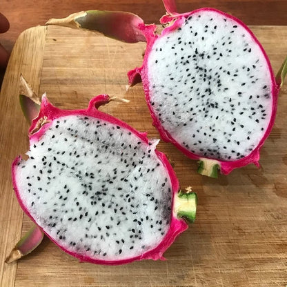 White Dragon Fruit Seeds (Hylocereus undatus) – 5.000+ Premium Vietnamese White Seeds