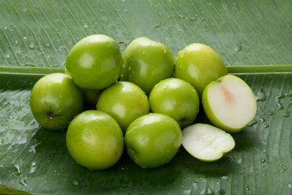 Green Jujube Putsa Apple Seeds (Ziziphus mauritiana) – 1000++ Bulk Premium Exotic Fruit Seeds