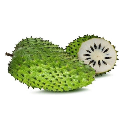 100+ 'Cuban Fibreless' Soursop Seeds (Annona muricata) – Elite Sweet Graviola Botanical Specimen (Collectors Quality)
