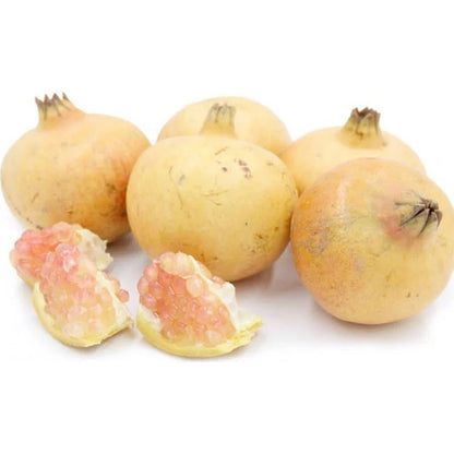 White Pearl Pomegranate Seeds (Punica granatum var. White Pearl) – Premium Rare White Aril Sweet Fruit Tree Seeds for Planting (100 Pcs)