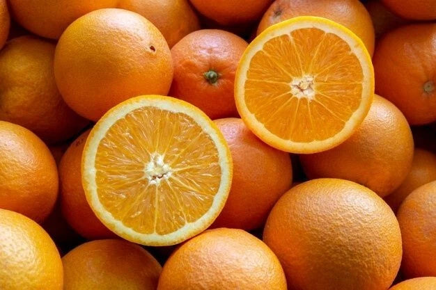 100+ Valencia Orange Seeds (Citrus sinensis) – Premium Sweet Citrus Fruit Tree & Juicing Orchard Seeds for Planting