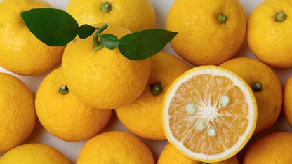 Yuzu Citrus Seeds (Citrus junos / 100+ Premium Japanese Yuzu Fruit Seeds) – Premium Exotic Botanical Specimen Plant Seeds for Planting