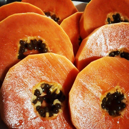 Jingga Papaya Seeds (Carica papaya L. / 500+ Vibrant Orange Tropical Fruit Tree Seeds) – Premium Exotic Botanical Specimen Plant Seeds for Planting