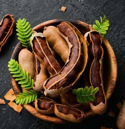 Java Tamarind Seeds 100 pcs (Tamarindus indica) - Premium Fruit Tree Indian Date Seeds