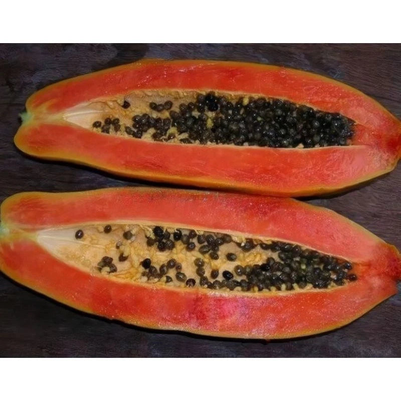 Kingsland Dwarf Papaya Seeds (Carica papaya var. Kingsland Dwarf) – Premium Sweet Red Pawpaw Tropical Fruit Tree Seeds for Planting (150 Pcs)