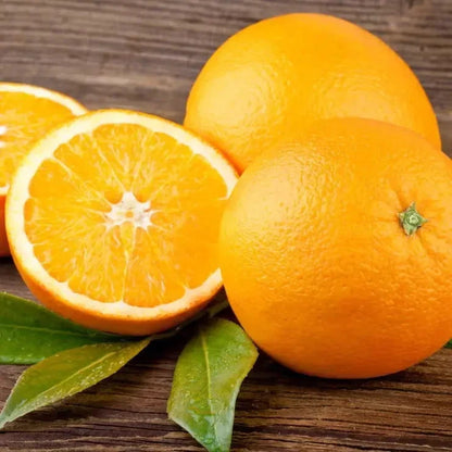 Trovita Orange Seeds (Citrus sinensis / 100+ Premium Sweet Citrus Fruit Seeds) – Premium Exotic Botanical Specimen Plant Seeds for Planting