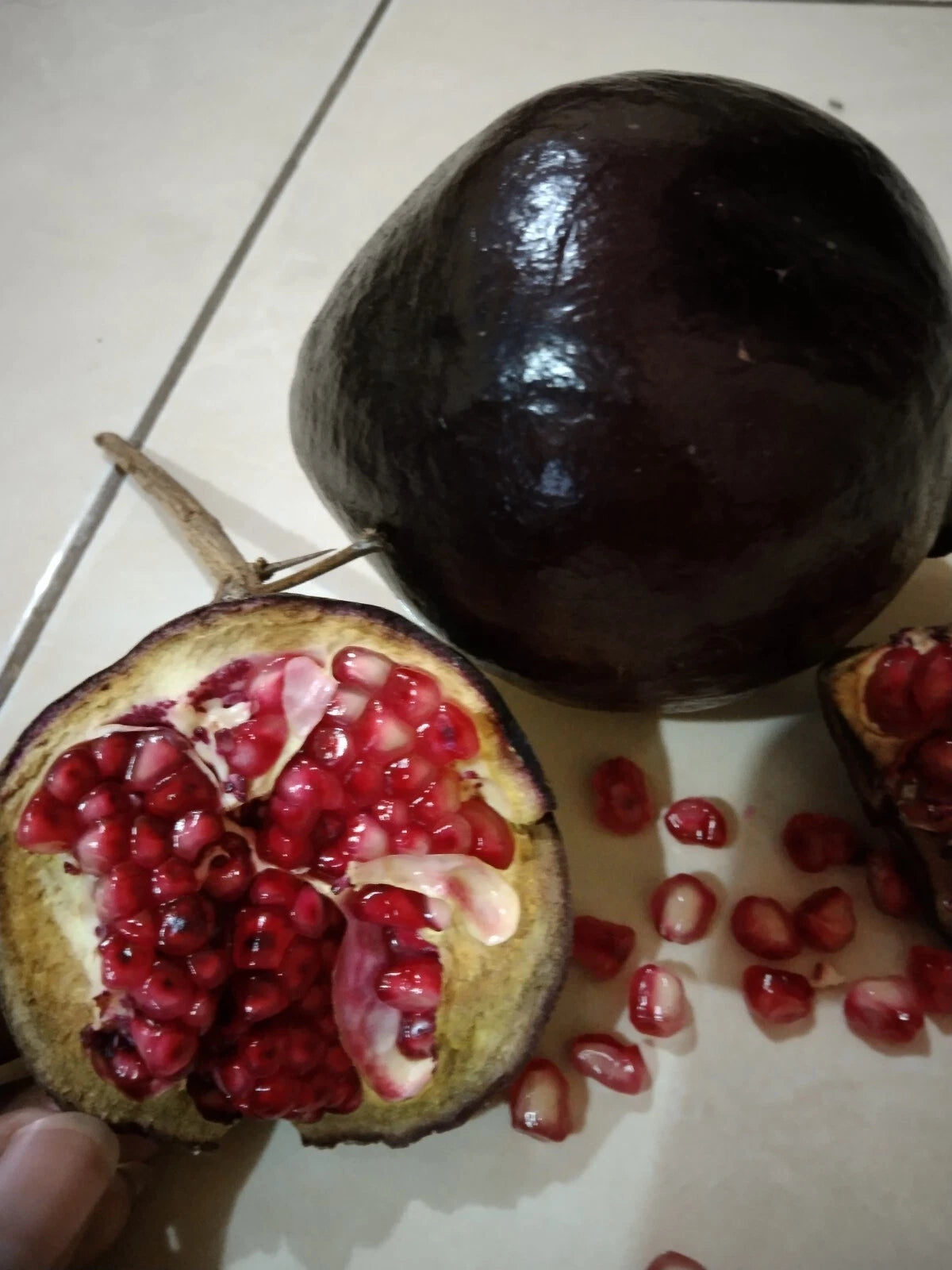 1,000+ Black Wulung Pomegranate Seeds (Punica granatum var. 'Black Wulung') – Premium Deep Dark Purple & Exotic Rare Fruit Tree Seeds for Planting