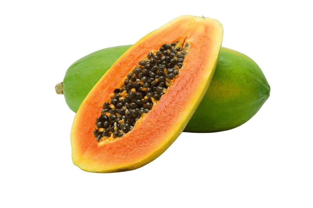 Extra Sweet Carisya Papaya Seeds (Carica papaya) – High-Yield Tropical Fruit Seeds for Planting