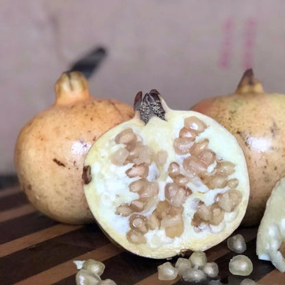 White Pearl Pomegranate Seeds (Punica granatum 'White Pearl') – 100+ Premium Fresh Rare Sweet White Pomegranate Seeds