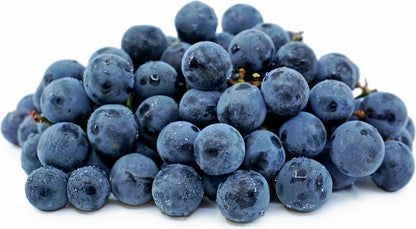 Concord Grape Seeds (Vitis labrusca / 100+ Premium Hardy American Table & Juice Grape Seeds) – Premium Exotic Botanical Specimen Plant Seeds for Planting