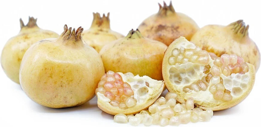 100+ White Babylonian Pomegranate Seeds (Punica granatum var. White Babylonian) – Premium Rare Translucent Sweet Fruit Tree & Orchard Seeds for Planting