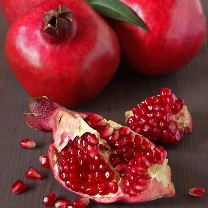 Ruby Pomegranate Seeds (Punica granatum) – 100 Premium Grenadine Seeds