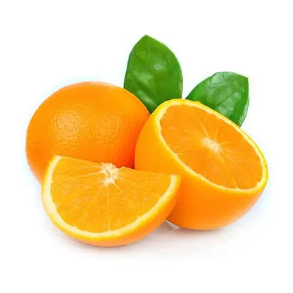 Valencia Orange Seeds (Citrus sinensis / 100+ Premium Quality Sweet Juice Orange Fruit Seeds) – Premium Exotic Botanical Specimen Plant Seeds for Planting