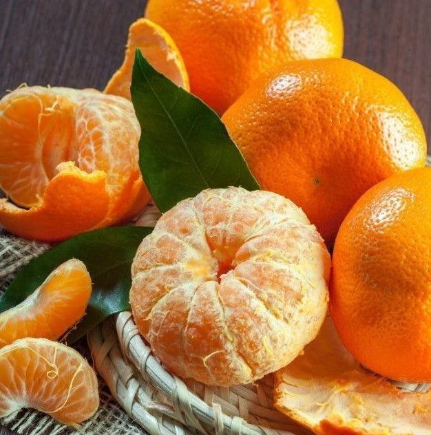 Mandarin Orange Seeds (100+ Bulk Seeds, Citrus reticulata) – Sweet Mandarin Citrus Fruit Tree Seeds for Planting