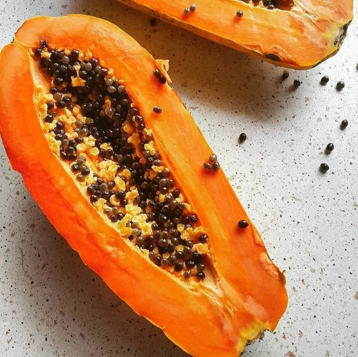 Bulk Red Cibinong Papaya Seeds (Carica papaya 'Red Cibinong') – 150+ Premium Fresh Rare Large Sweet Red Papaya Seeds for Planting