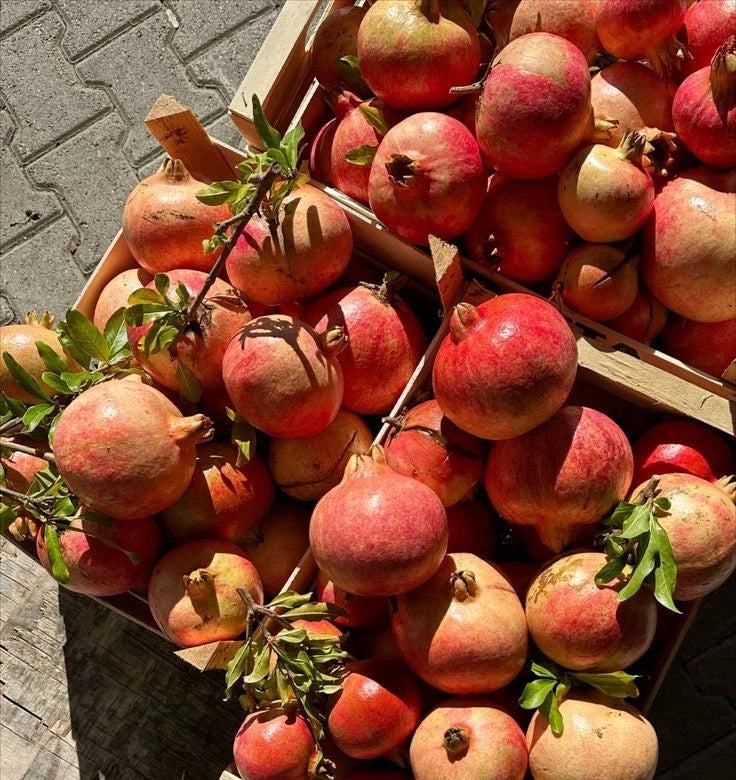 Premium 'Dholka' Pomegranate Seeds (Punica granatum) – Authentic Rare Indian Cultivar Heirloom Fruit Seeds (100 Count)