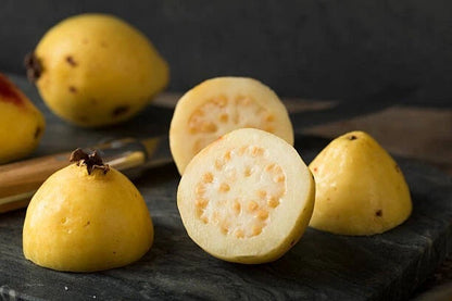 Yellow Guava Seeds (Psidium guajava / 1000+ Fresh Tropical Fruit Tree Seeds) – Premium Exotic Botanical Specimen Plant Seeds for Planting