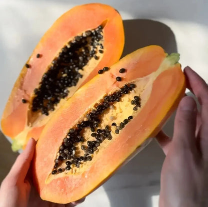 Bulk Red Arjuna Papaya Seeds (Carica papaya 'Red Arjuna') – 150+ Premium Fresh Rare Vigorous Sweet Red Papaya Seeds for Planting