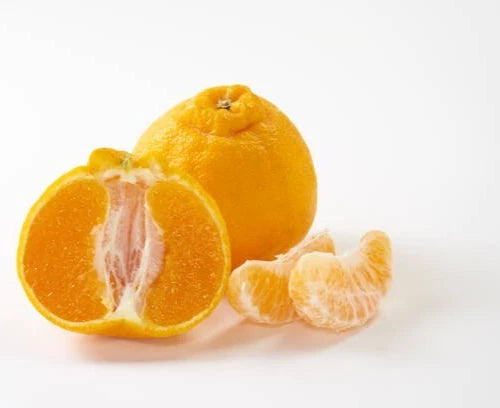 2,000+ Dekopon Orange Seeds (Citrus reticulata) – Premium Sumow Mandarins & Rare Japanese Citrus Fruit Tree Seeds for Planting