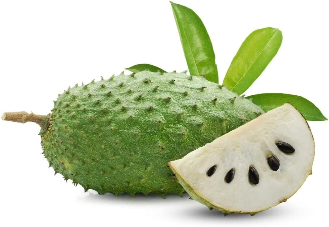 'Sweet El Salvador' Soursop Seeds (Annona muricata) – Elite Exceptionally Sweet Botanical Specimen (Collectors Quality)