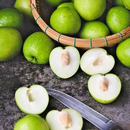 120+ Big Green Jujube Putsa Apple Seeds (Ziziphus mauritiana) – Premium Tropical Indian Plum & Ber Fruit Plant Seeds for Planting