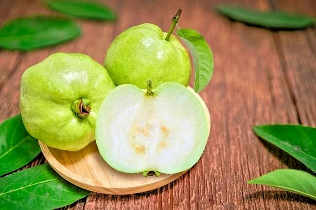 250+ White Crystal Guava Seeds (Psidium guajava L.) – Premium Crisp & Sweet Tropical Fruit Tree Seeds for Planting
