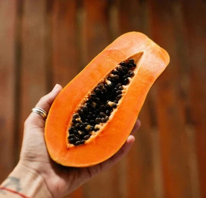Premium Red Carisya Papaya Seeds (Carica papaya 'Red Carisya') – 150+ Fresh Rare High-Yield Deep Red-Orange Flesh Seeds for Planting