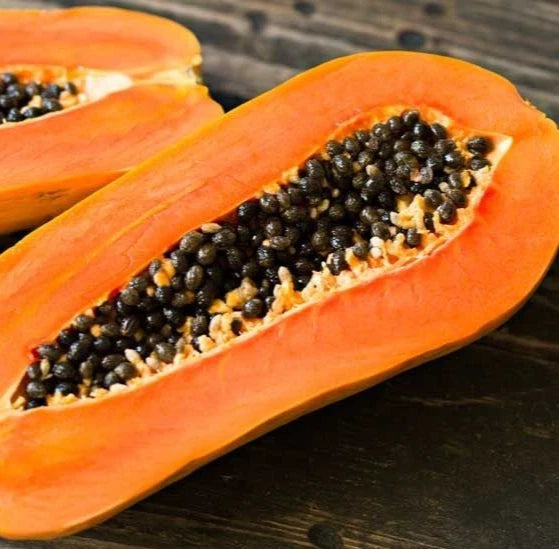 Red Paris Papaya Seeds (Carica papaya 'Red Paris') – 150+ Premium Fresh Sweet Honey-Toned Red Paris Papaya Seeds