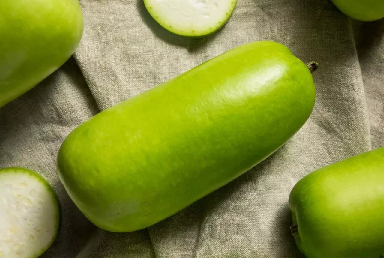 Water Gourd Seeds (Lagenaria siceraria) – 1,000+ Premium Seeds for Planting