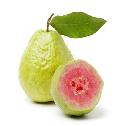 Red Diamond Guava Seeds (Psidium guajava) – 250+ Premium Rare Seedless-Type Crisp Ruby-Red Guava Seeds
