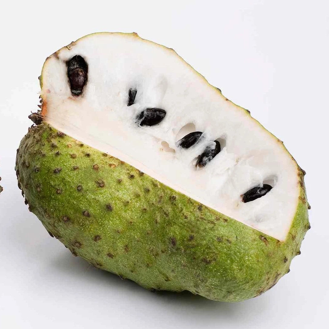 Mandalik Soursop Seeds (Annona muricata var. Mandalik) – Premium Certified High-Yield Sweet Guanabana Custard Apple Fruit Tree Seeds for Planting
