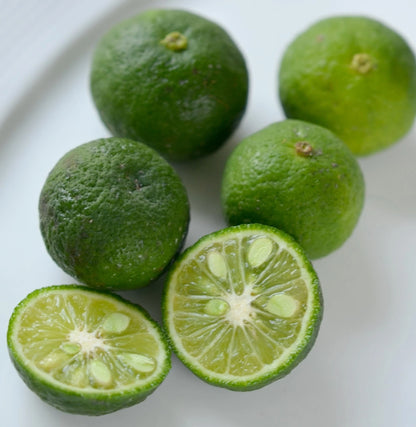 Limau Citrus Seeds (Citrus Amblycarpa) – Certified Heirloom Southeast Asian Acid Citrus Fruit Crop for Planting