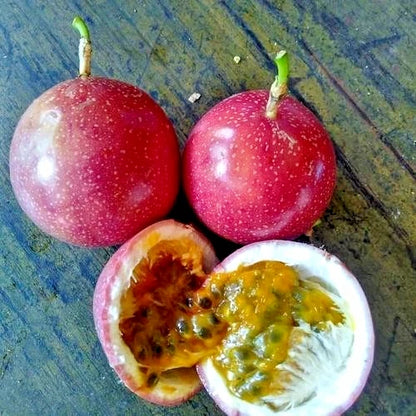Purple Passion Fruit Seeds 2,000+ pcs (Passiflora edulis) – Premium Certified Sweet Exotic Passionflower Vine Plant Seeds for Planting