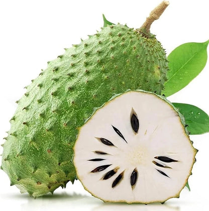 Organic Soursop Seeds var. Giant Soursop (Annona muricata) – Premium Colossal Guanabana Fruit Seeds for Planting (100+ Pcs)