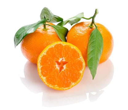 Fresh Mandarin Orange Seeds (Citrus reticulata) – Premium Sweet Tangerine Fruit Tree Seeds for Planting (100+ Pcs)