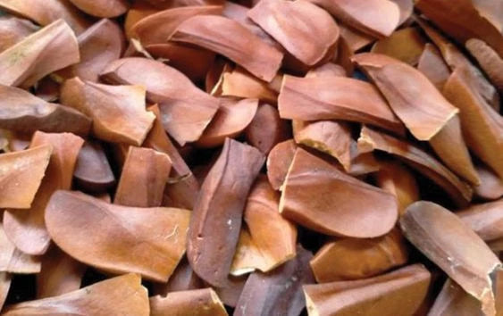 Organic Sky Fruit / Mahogany Seeds (Swietenia mahagoni) – 700g Bulk Pack for Herbal Consumption
