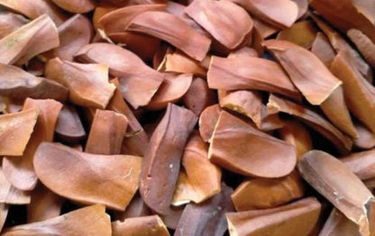 Organic Sky Fruit / Mahogany Seeds (Swietenia mahagoni) – 700g Bulk Pack for Herbal Consumption