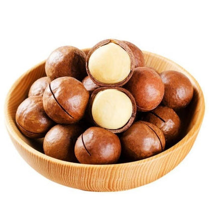 Macadamia Nut (Macadamia integrifolia var. Macadamia) – 20+ Premium Seeds