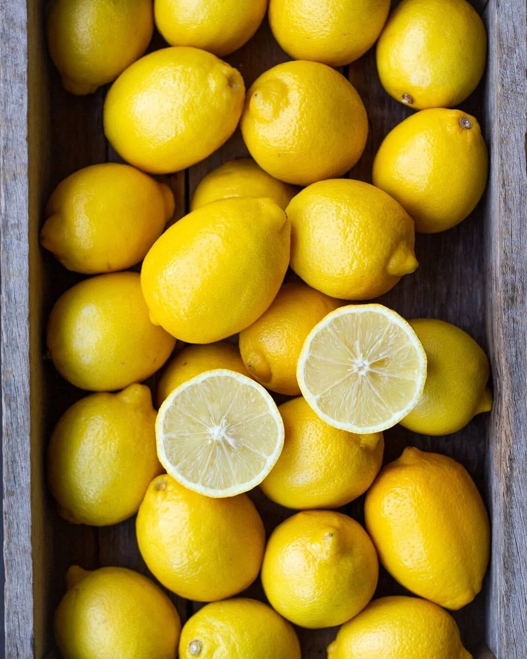 Eureka Lemon Seeds (Citrus limon / 1000+ Premium True Lemon Fruit Tree Seeds) – Premium Botanical Specimen Plant Seeds for Planting