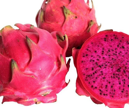 Giant Red Dragon Fruit Seeds (Hylocereus costaricensis) – 5.000+ Premium Big Giant Seeds