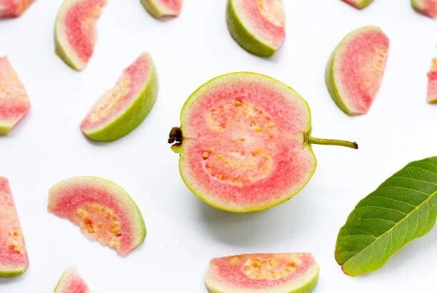Red Crystal Guava Seeds (Psidium guajava 'Red Crystal') – Premium Certified High-Yield Specialty Sweet Tropical Fruit Tree Seeds for Planting (1000+ Pcs)