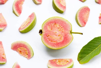 Red Crystal Guava Seeds (Psidium guajava 'Red Crystal') – Premium Certified High-Yield Specialty Sweet Tropical Fruit Tree Seeds for Planting (1000+ Pcs)