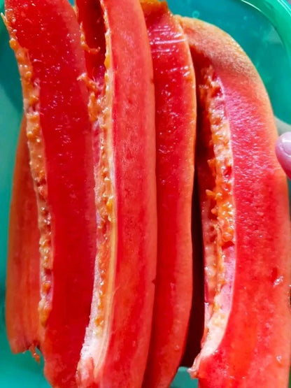 Calina Papaya Seeds (Carica papaya L.) – 150++ Premium Fresh Indonesian IPB9 Calina Papaya Seeds