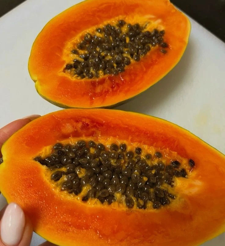 Solo Hawaii Papaya Seeds (Carica papaya 'Solo') – 150+ Premium Fresh Heirloom Sweet Dwarf-Grown Papaya Seeds