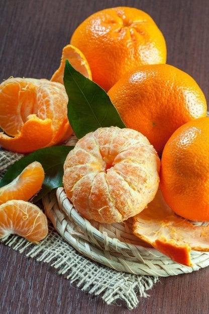 Hamlin Orange Seeds (Citrus Sinensis) – Certified Heirloom Sweet Citrus Fruit Crop for Planting