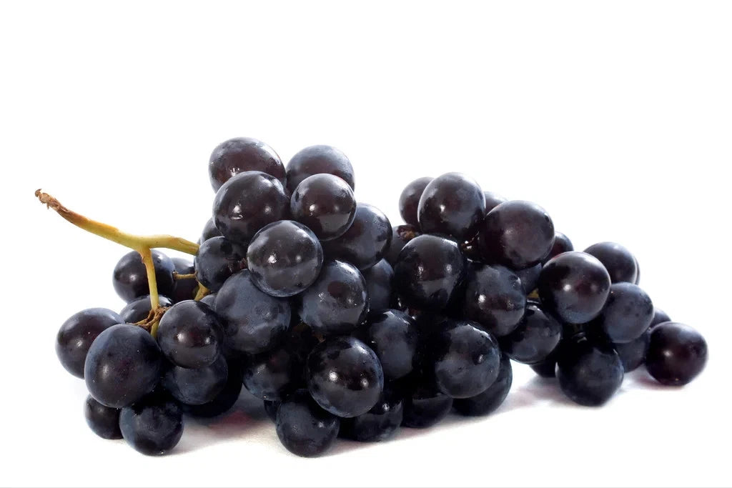 Black Muscat Grape Seeds (Vitis vinifera / 100+ Premium Aromatic Dessert & Wine Grape Seeds) – Premium Exotic Botanical Specimen Plant Seeds for Planting