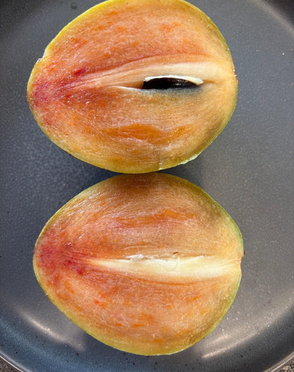 Morena Sapodilla Seeds (Manilkara zapota) – 35+ Premium Rare Large Sweet Chikoo Seeds